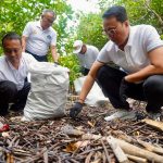 Pemkab Badung Gelar Aksi Bersih Lingkungan di Kawasan Mangrove